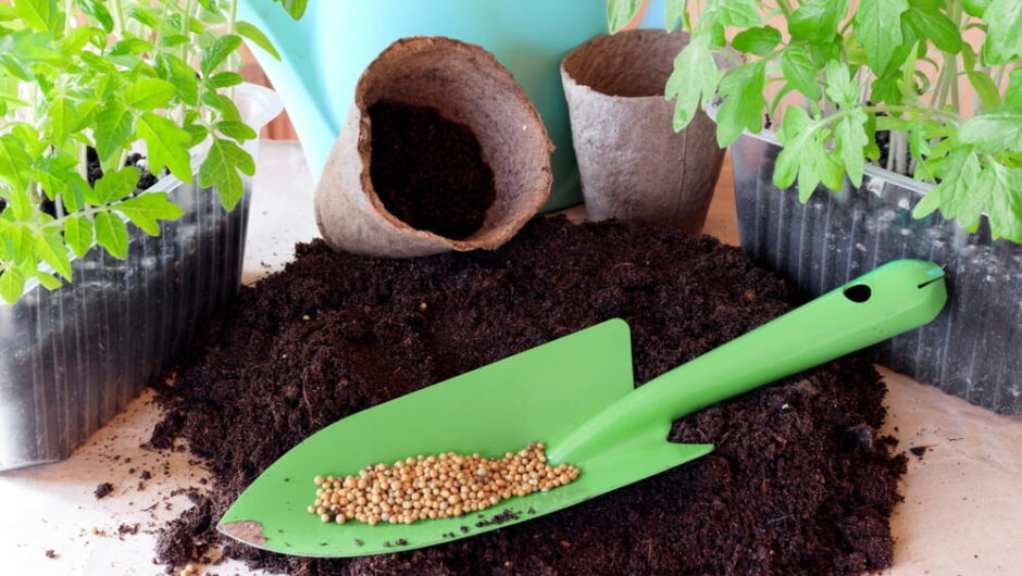 Tourteau de ricin : un engrais organique aux multiples atouts pour le potager et le jardin